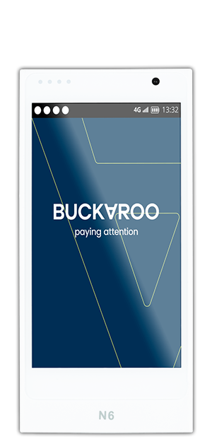 Buckaroo (vroeger Sepay) Buck Smart pinautomaat